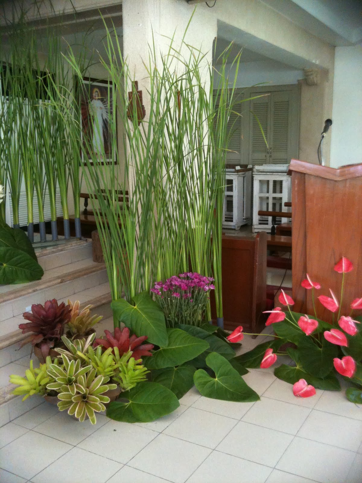 BUDS AND BLOOMS FLOWER SHOP'''' BUDS AND BLOOMS FLOWER SHOP, PHOTOS