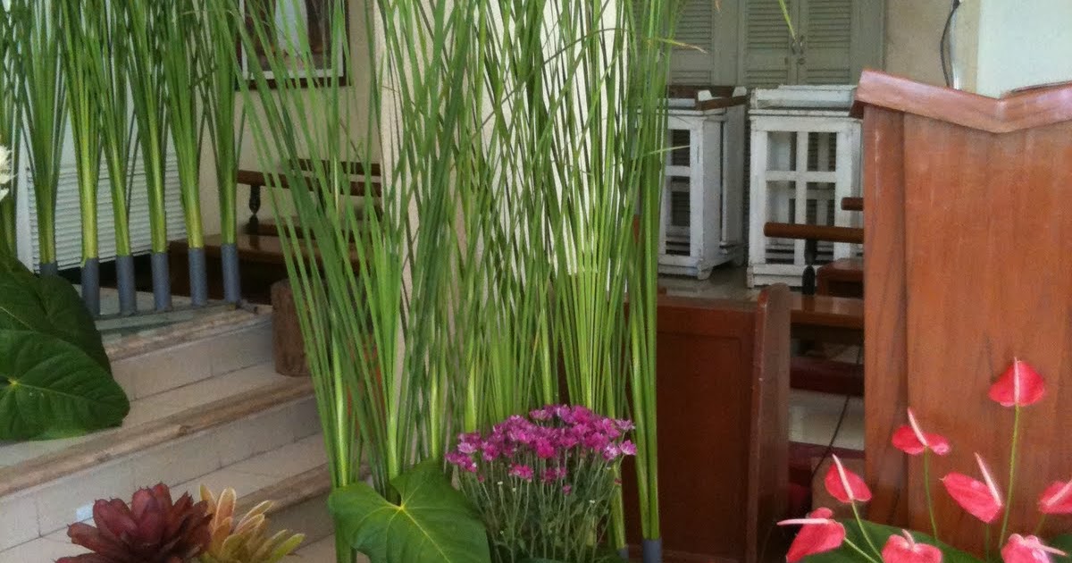 BUDS AND BLOOMS FLOWER SHOP'''' BUDS AND BLOOMS FLOWER SHOP, PHOTOS