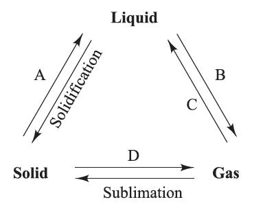 CBSE Papers, Questions, Answers, MCQ: CBSE Class 9 - Science - The