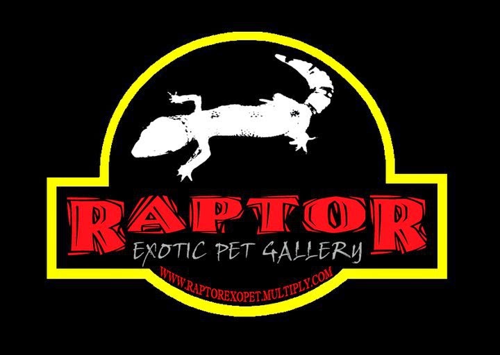 Raptor Exotic Pet Gallery
