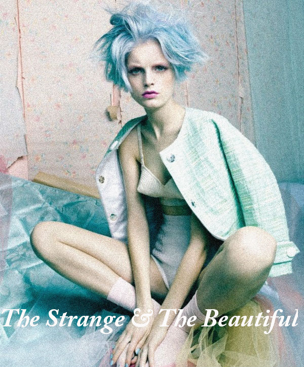 The Strange & The Beautiful