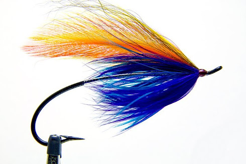 Bill McMillan's Winter Hope