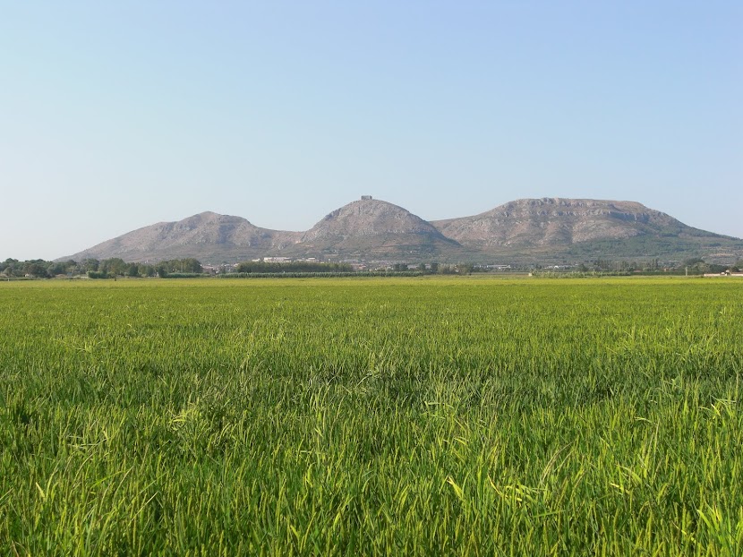 EL NOSTRE CAMÍ A SANTIAGO