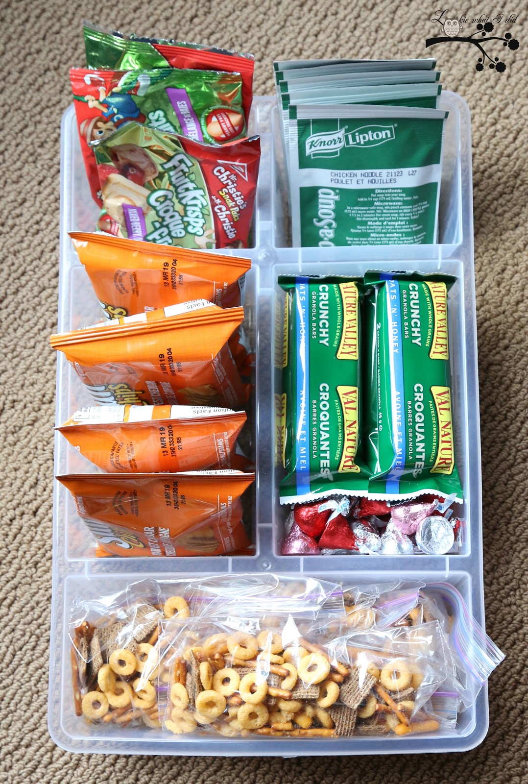 Lookie What I Did 1 Plastic Container.........7 Different Uses