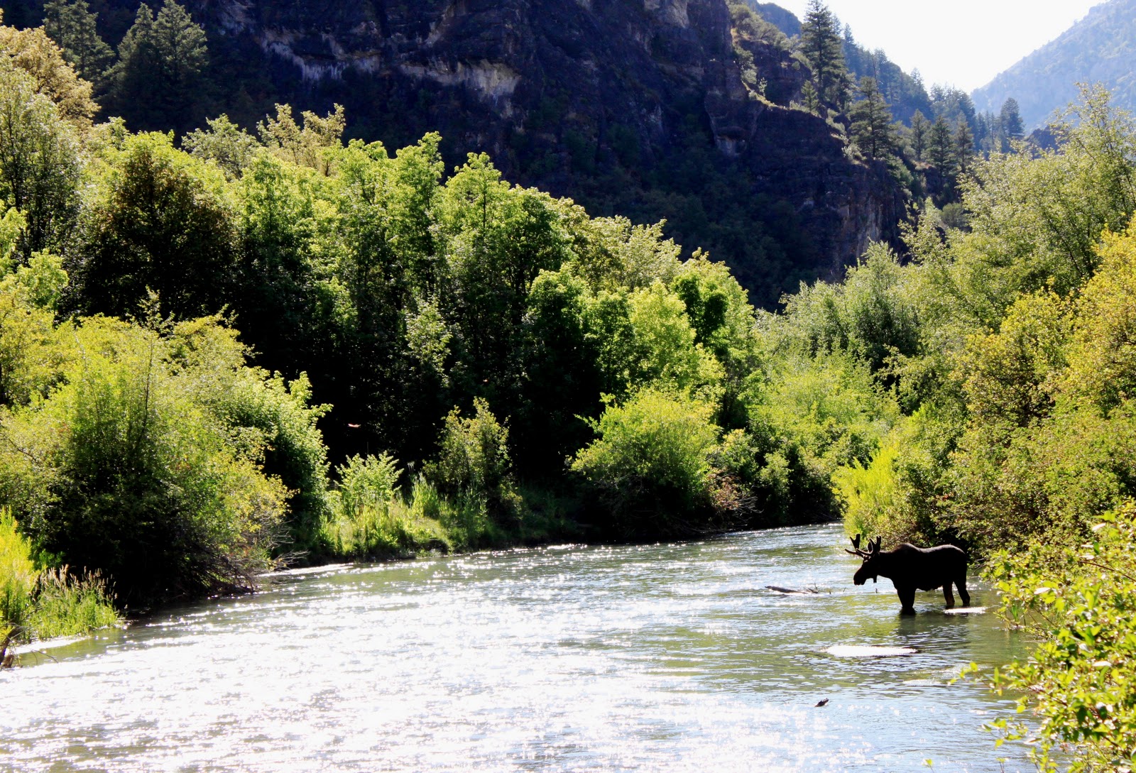 River Tales Blacksmith Fork Utah