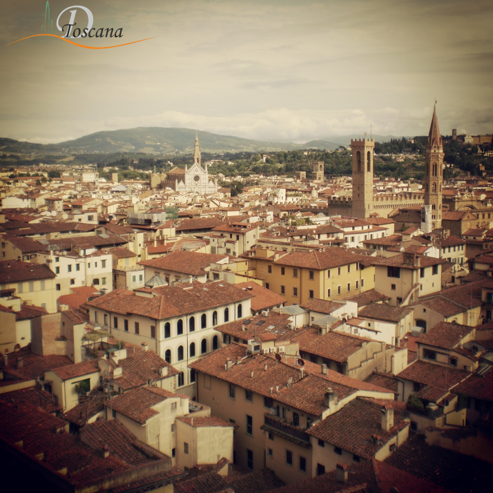 terravision pisa florencia la toscana en 4 d 237 as pisa florencia greve in chianti terravision pisa florencia la toscana en 4 d 237 as pisa florencia greve in chianti