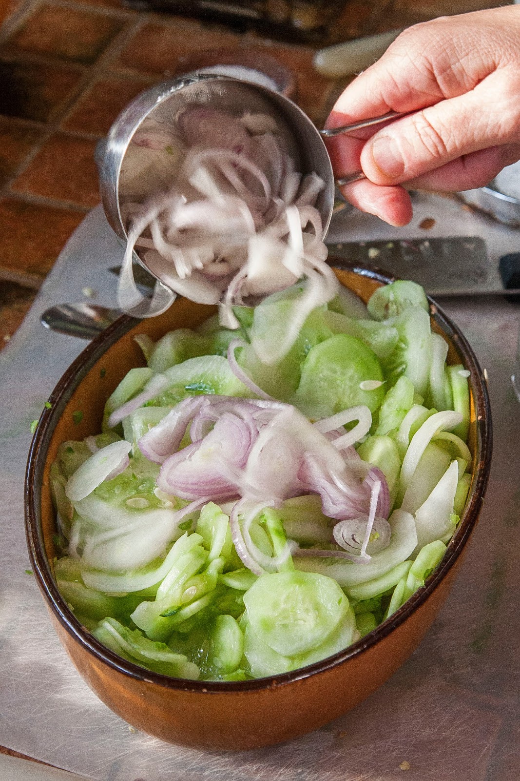 The Colors Of Indian Cooking Cool, Quick Cucumber and Shallot Salad