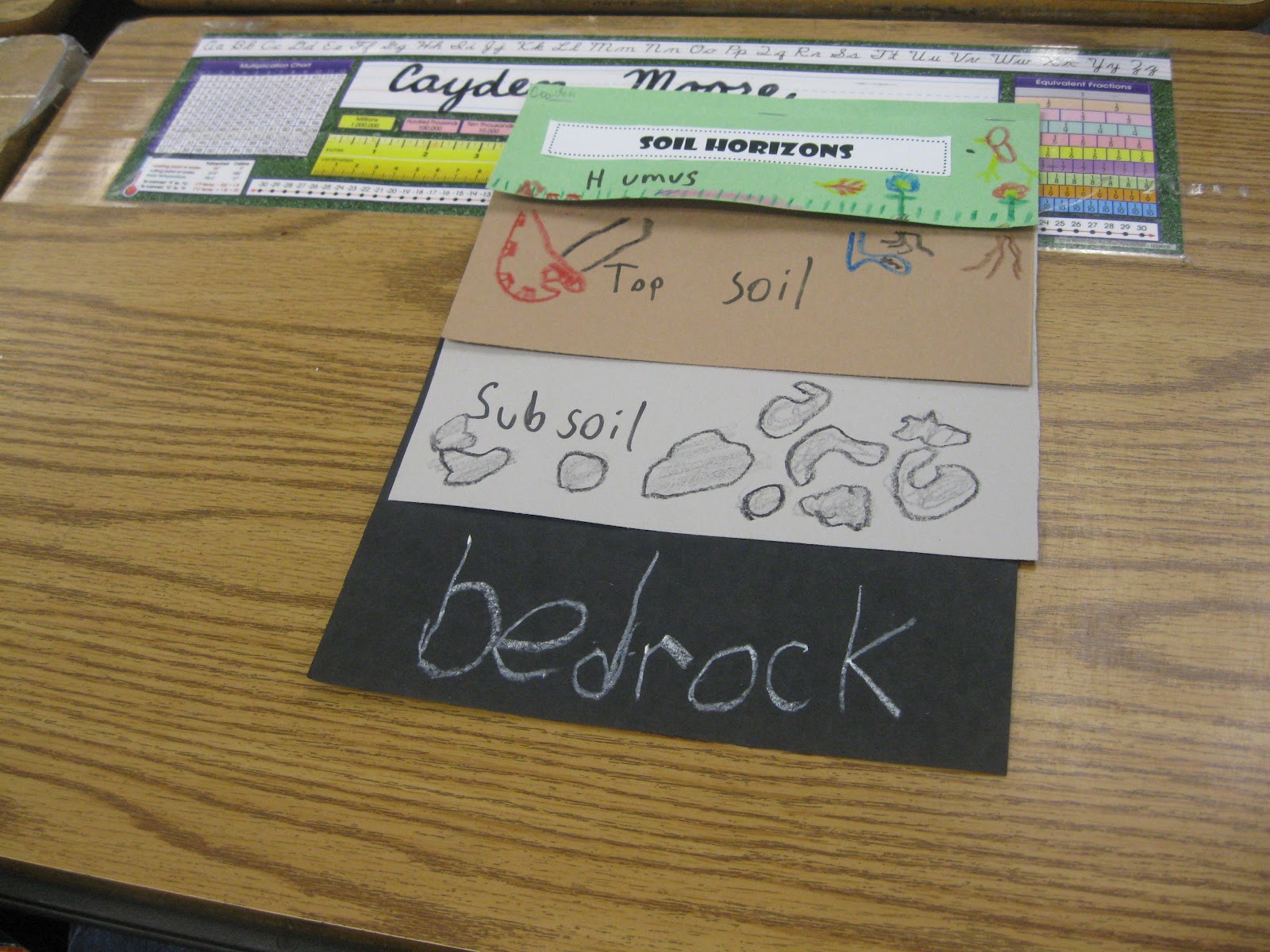 worksheet Soil Horizons Worksheet third grade thinkers science a soil study layers of soil