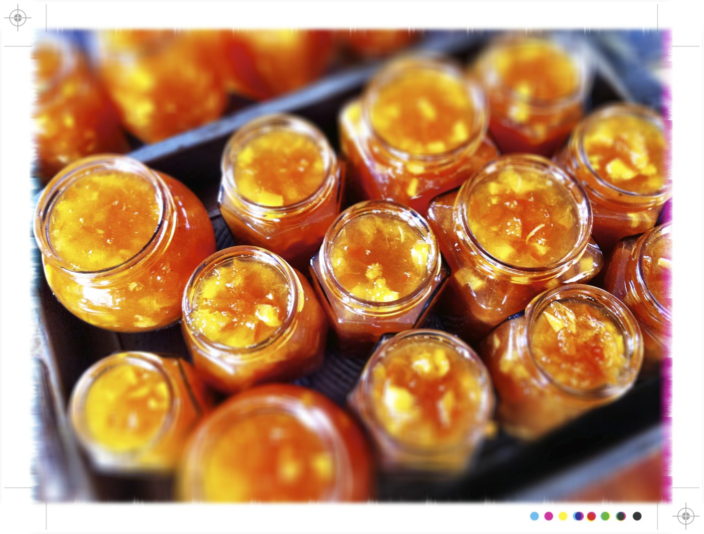 Toast Seville Orange Marmalade