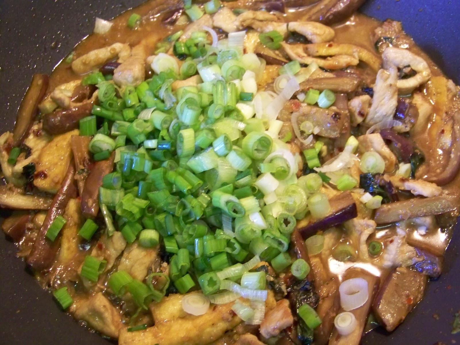 Kitchen Simmer Pork, Tofu and Eggplant Stir Fry with Thai Basil
