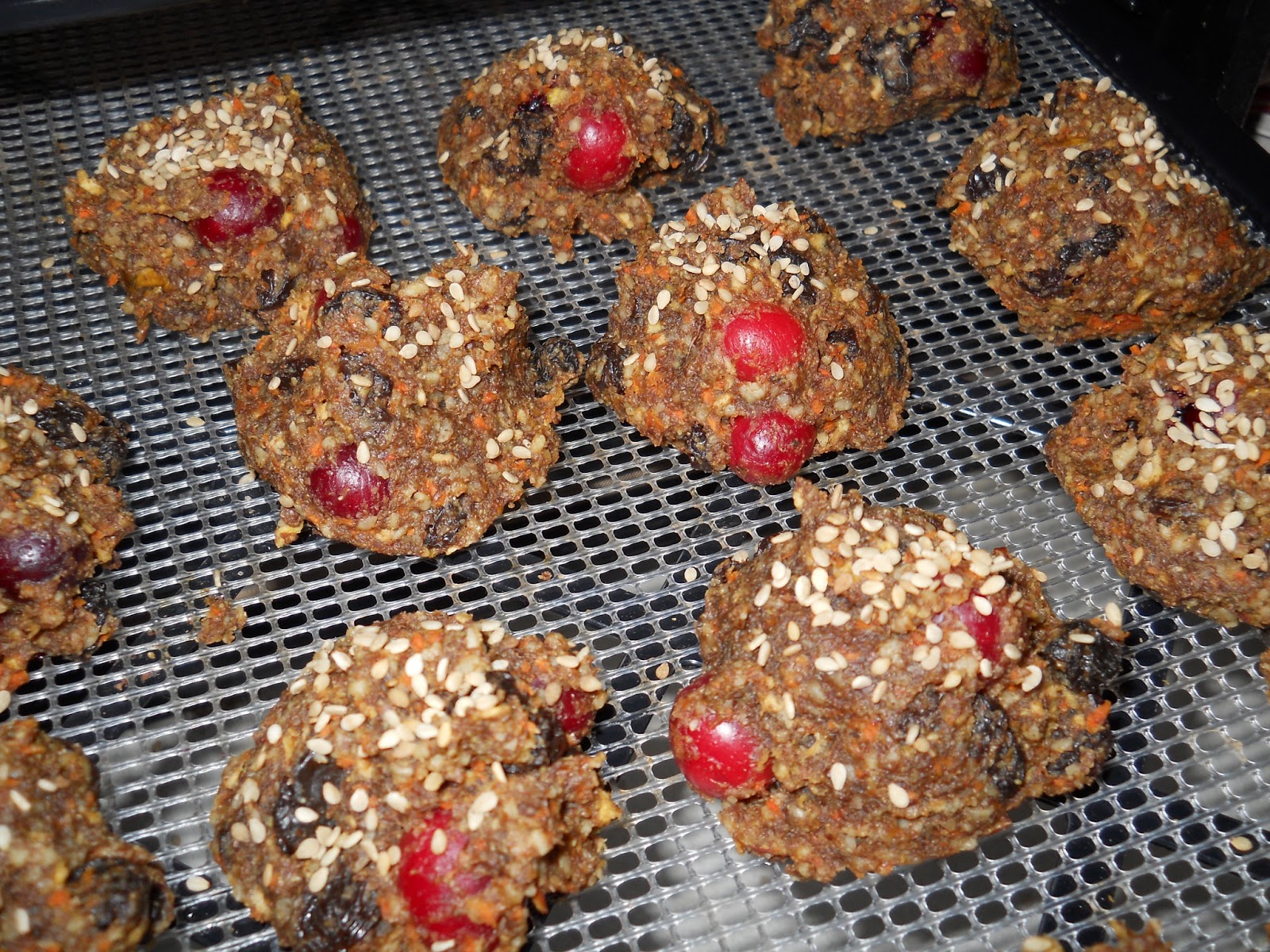 Kathy's Kitchen, Health, and Nutrition Raw CranberryRaisin Scones