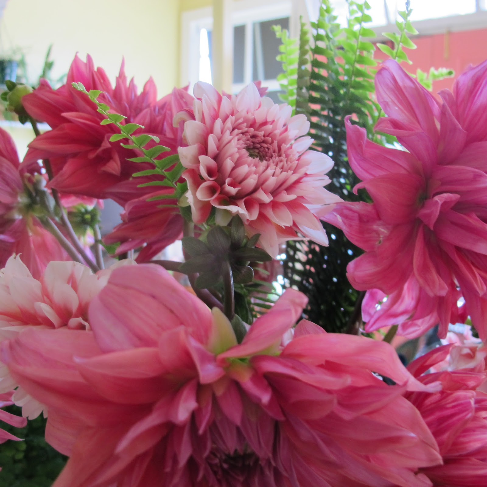 The Beauty Of Flowers Hydrangea Flowers