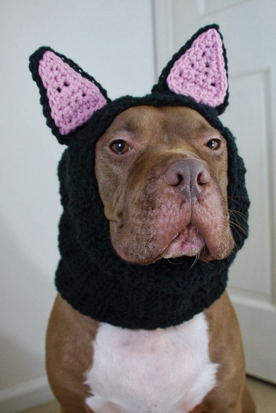 Bluetique Cheap Chic Best Halloween Costumes for Animals on Etsy