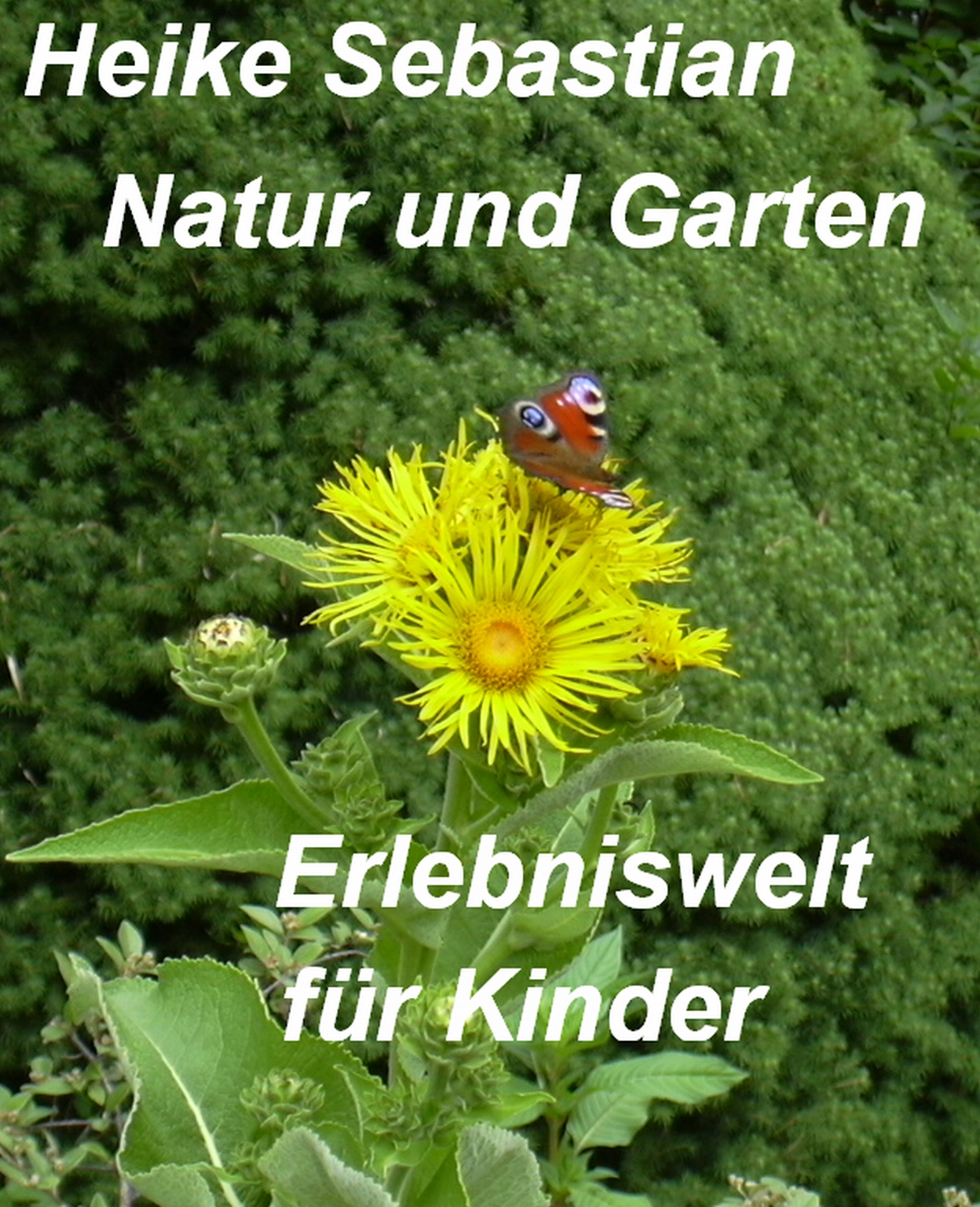 Autoren Auf Kindle November 2011