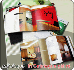 IN CATALOGUE GIÁ RẺ