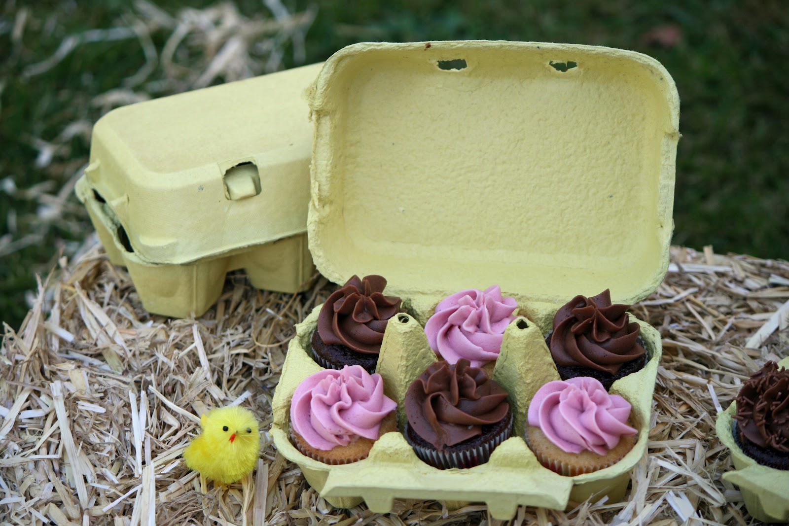 lauralovescakes... Egg Box Mini Cupcakes