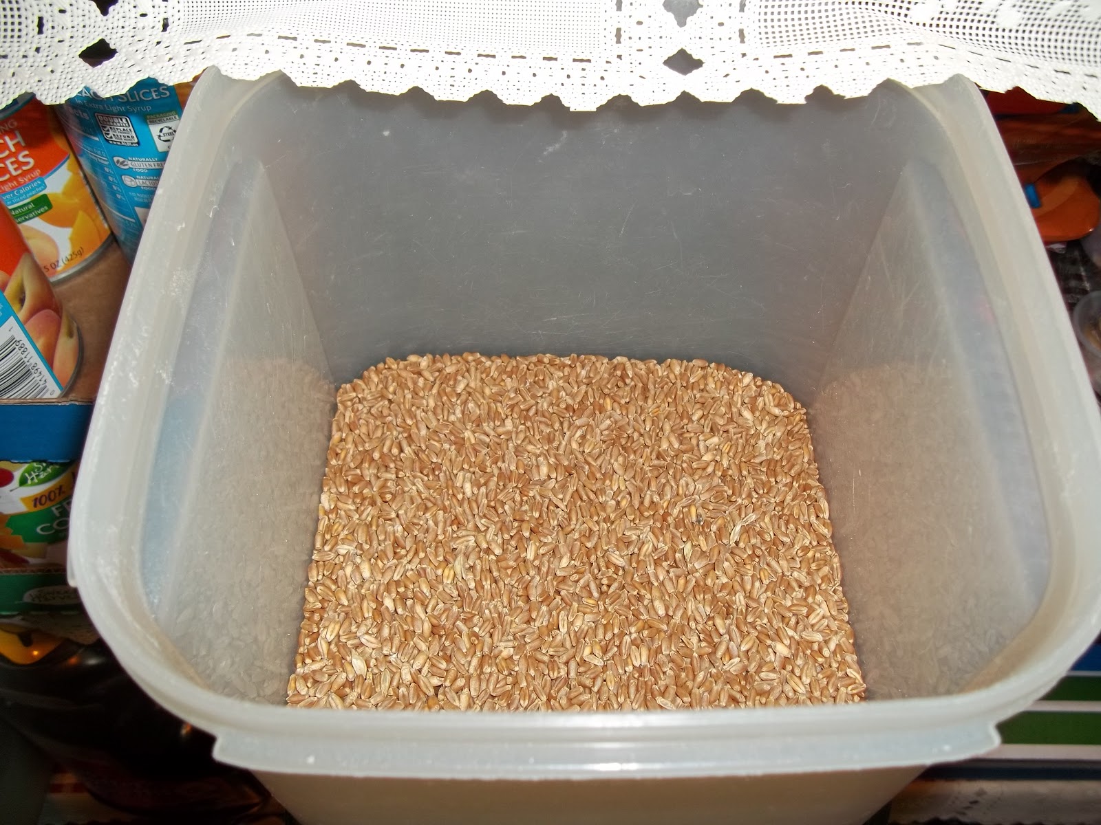 Make, Do and Mend 100 whole wheat sandwich buns