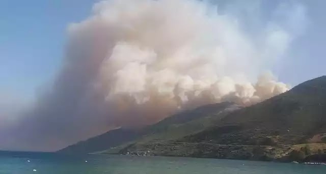 Αγωνία για τα πύρινα μέτωπα σε όλη τη χώρα -Καίγονται σπίτια στη Μάνη Αγωνία για τα πύρινα μέτωπα σε όλη τη χώρα -Καίγονται σπίτια στη Μάνη