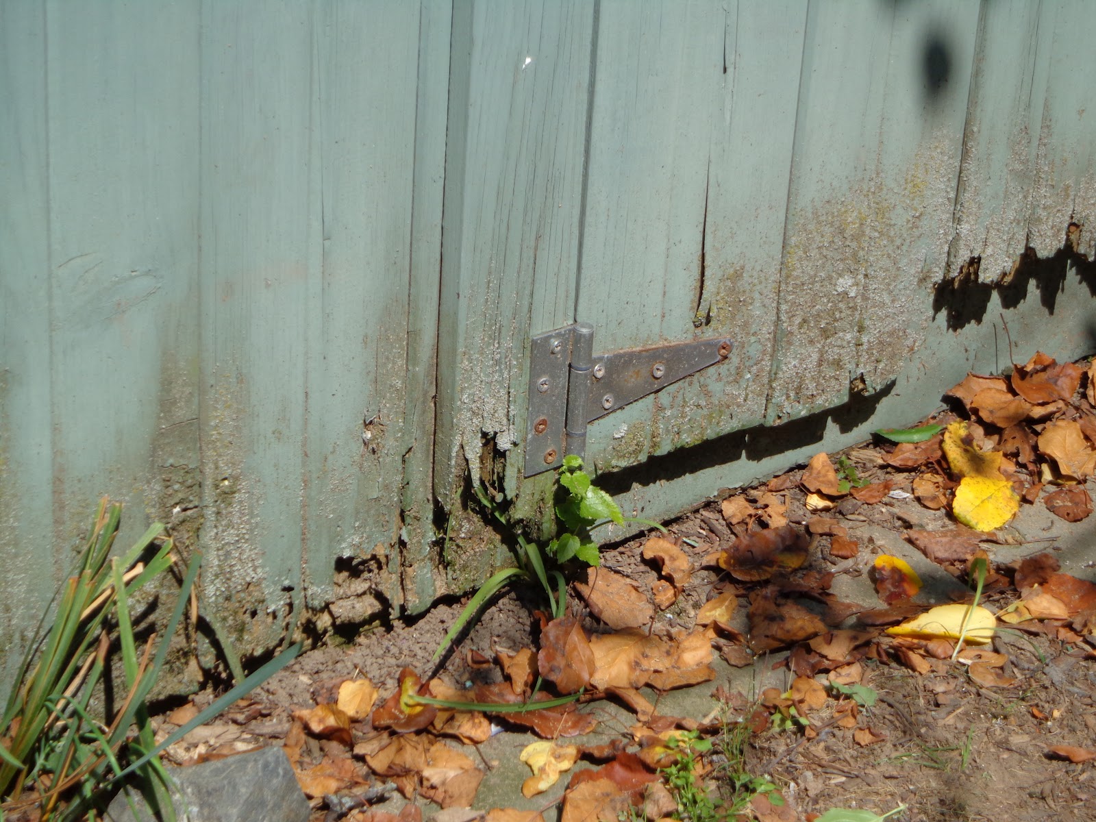 Shabby Glam New England Shed Makover Repairing Wood Rot A New