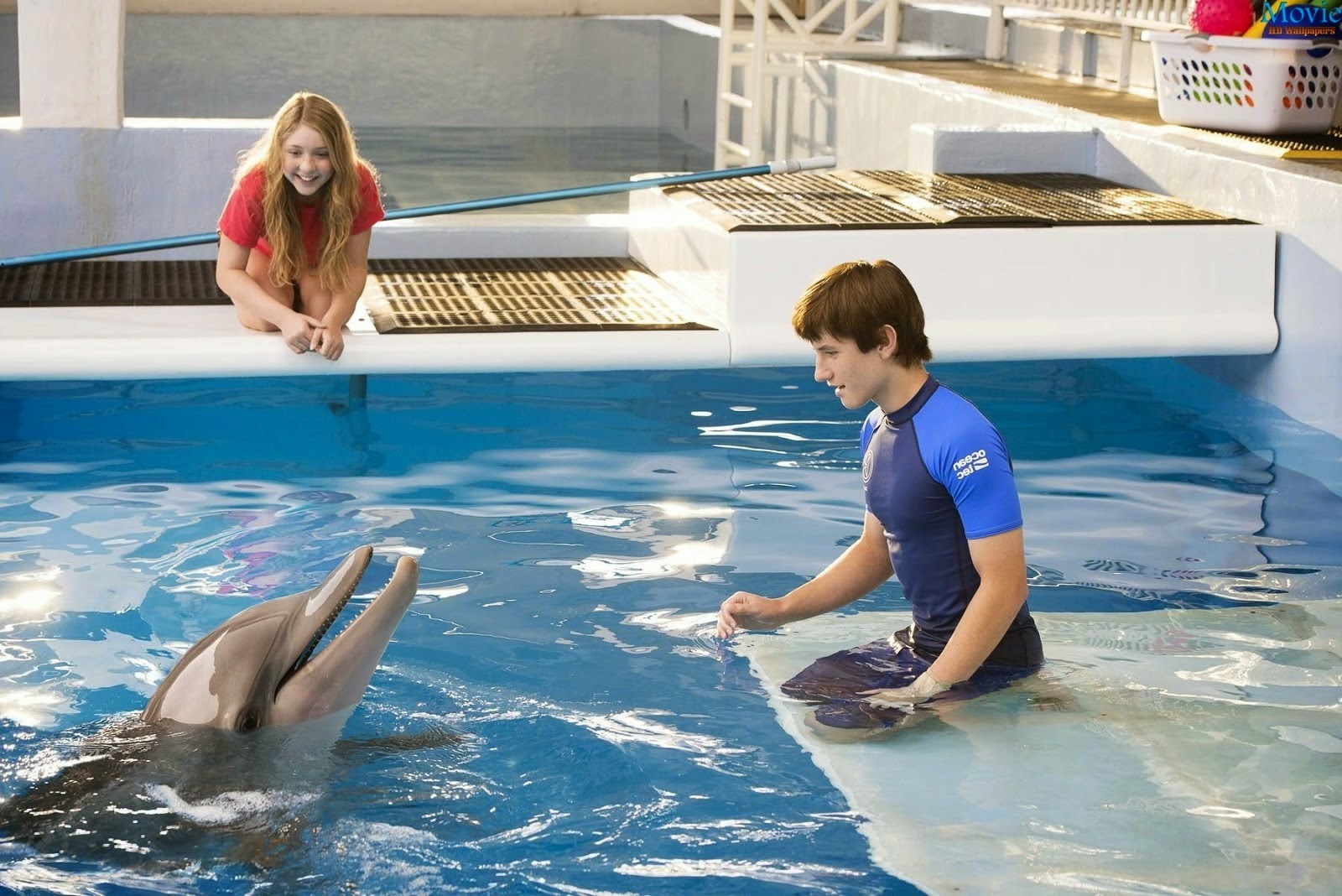 Image result for dolphin tale 2