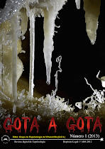 GOTA A GOTA