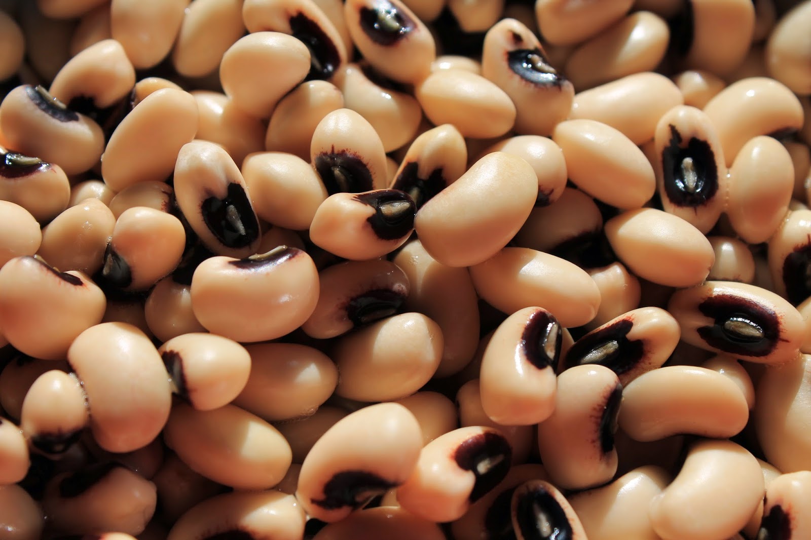 Lisa Tsakos, RHN Cooking dried beans