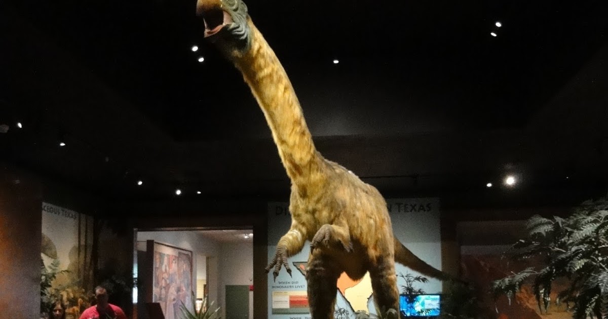 Austin Top 50 Fun in the Sun: Day Trip to the Witte Museum in San Antonio