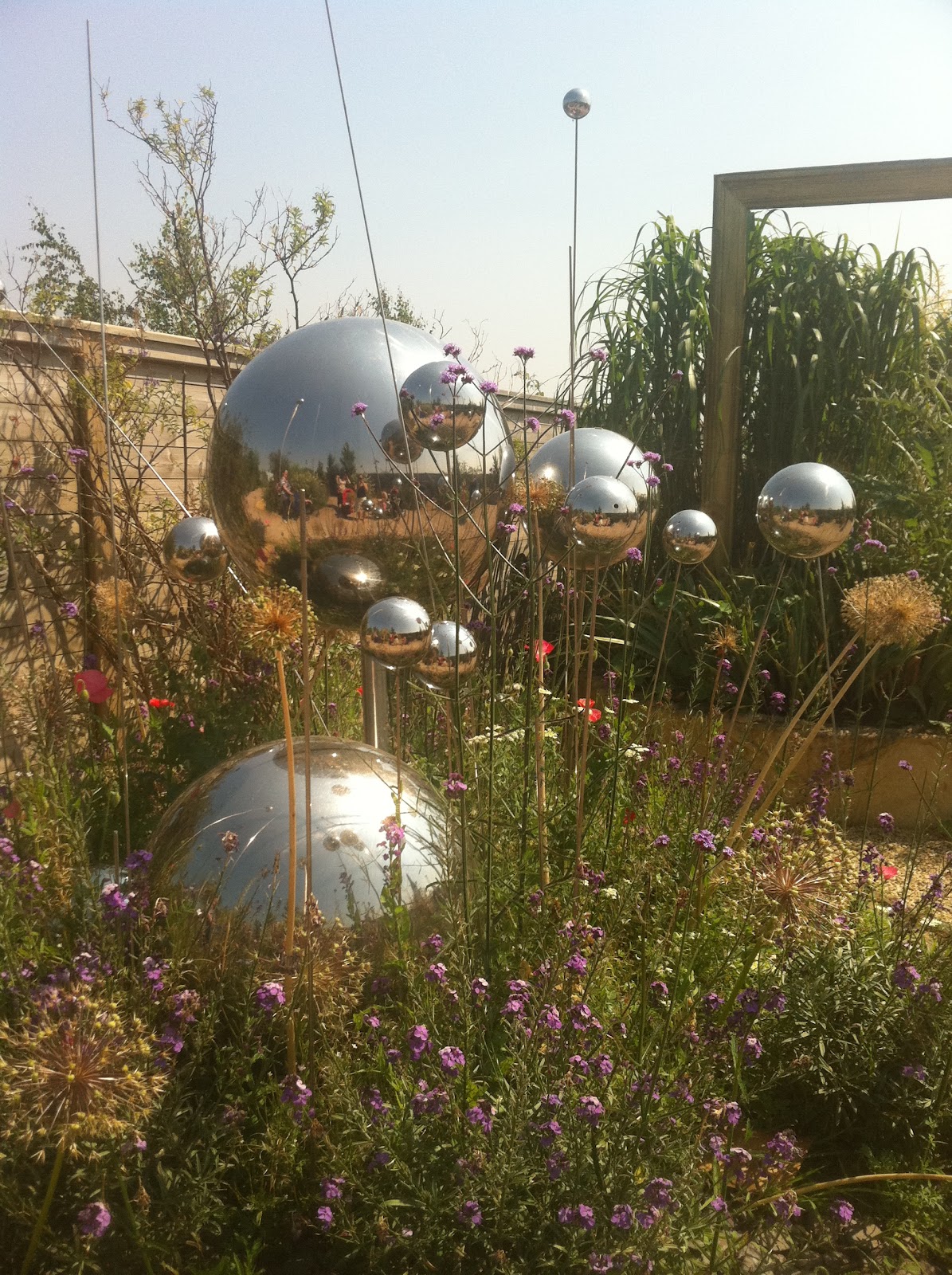 Culture Baby Wings and Fins