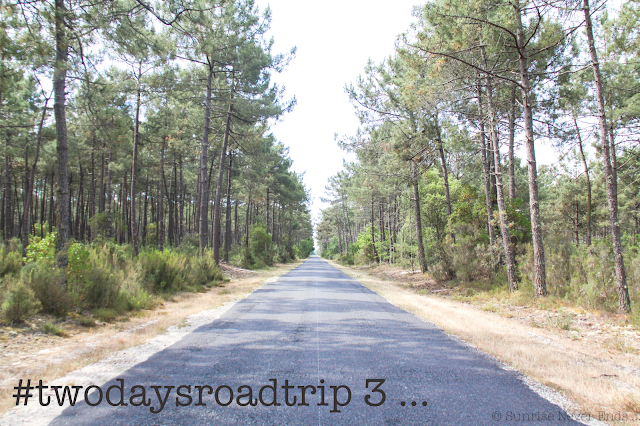 twodaysroadtrip,lacanau,gironde,foret de pins, landes,roadtrip,maison en bois,cabanes, beach shack,gypse living,gypse travel