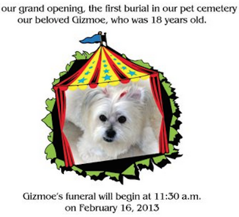 cherished companions pet crematory