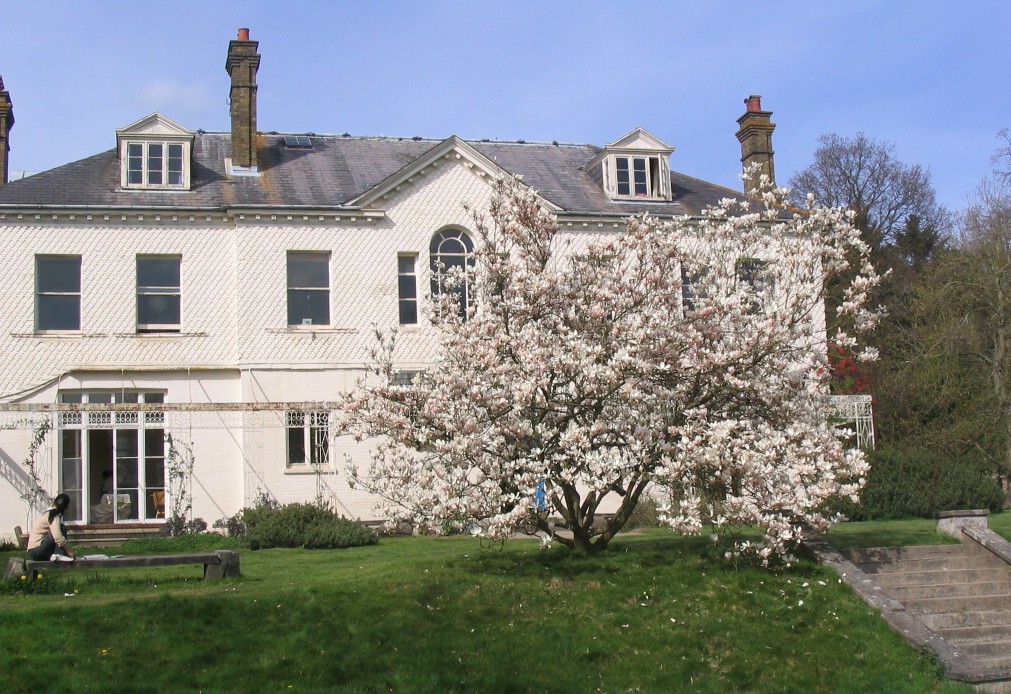 Gek Art Emerson College