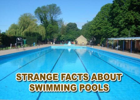 Interesting facts of American Swimming Pools are listed below just to give a boost to the search about the topic of strange talks. The value shown below is an approximately but it is correct as per the records collected from swim university.