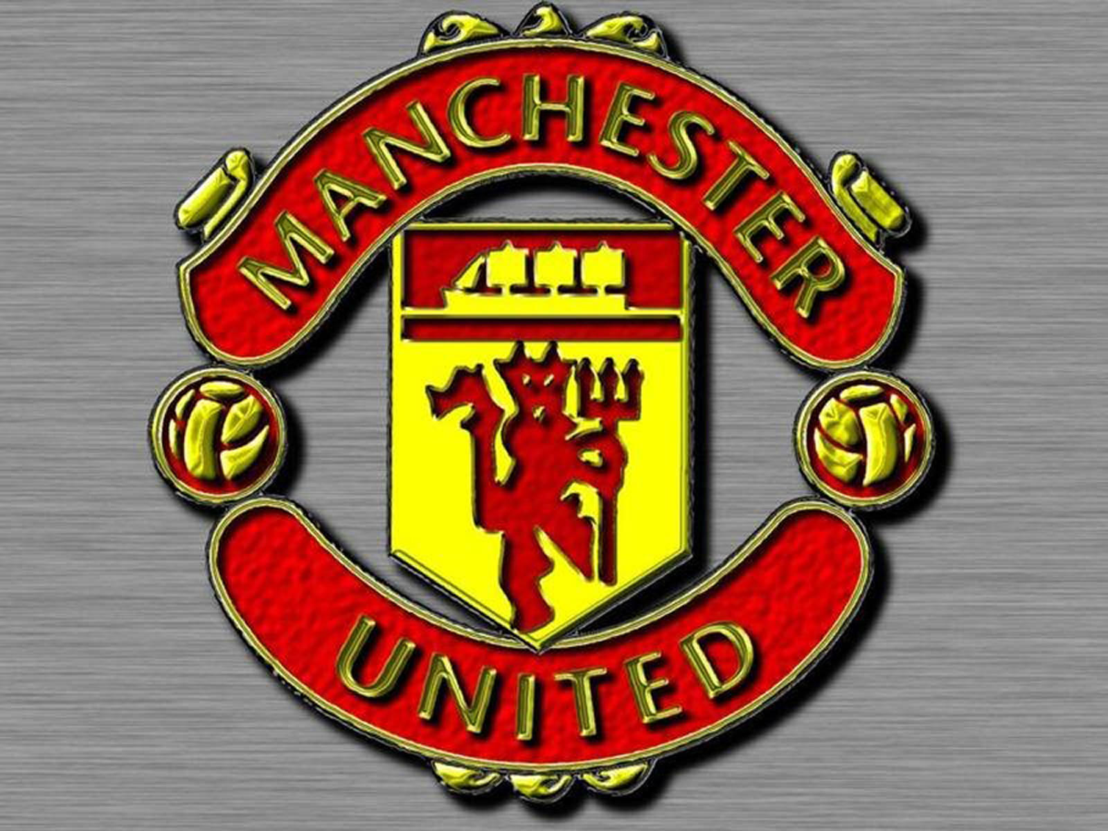 manchester united flag logo manchester united lion manchester united 