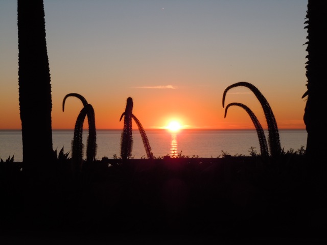 Beautiful Santa Monica sunset