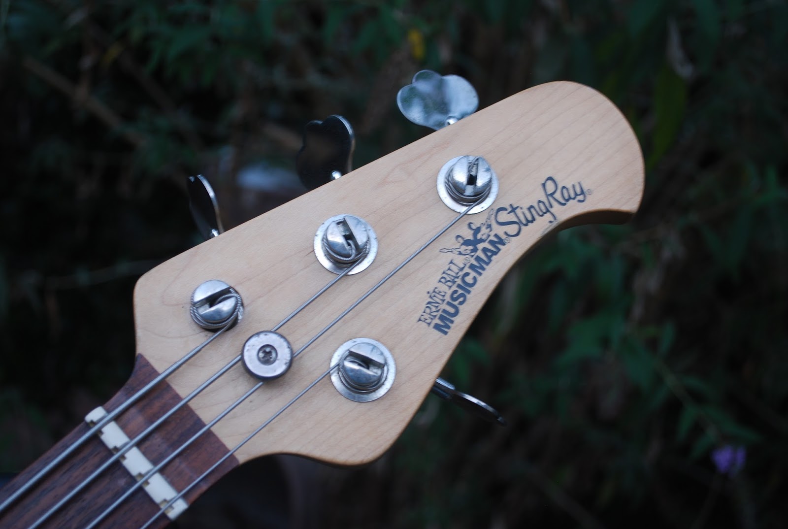 Rex and the Bass 2007 MusicMan Stingray 4H Bass Review
