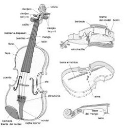 Partes del violín