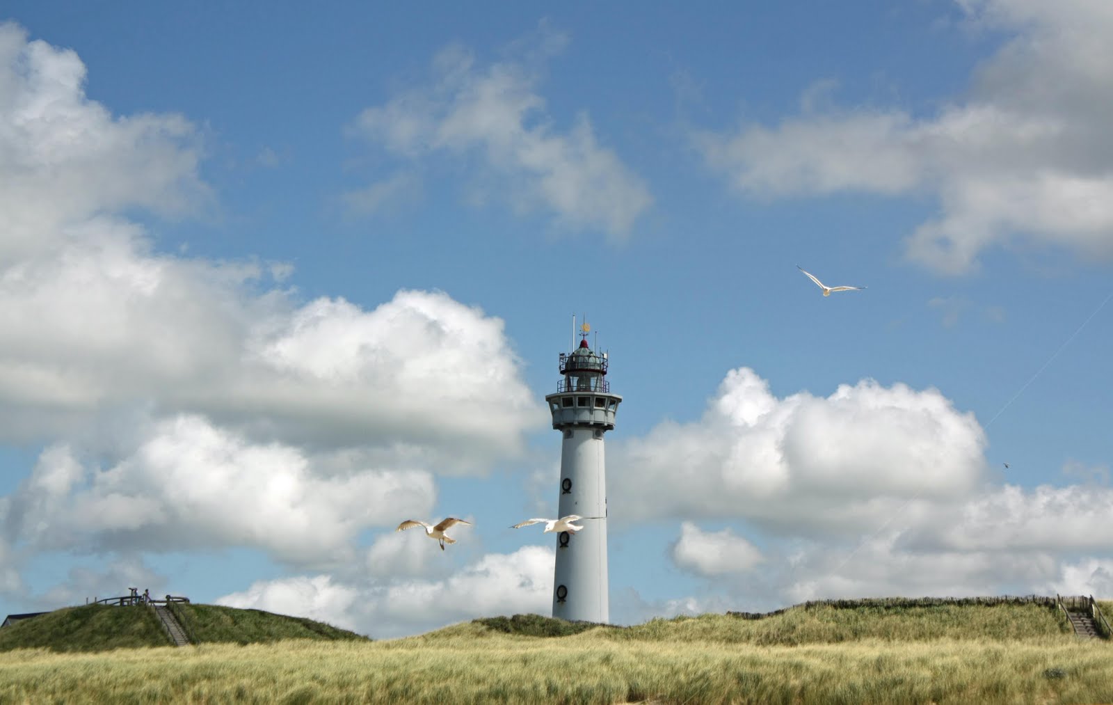 Natuurfotografie met Ben Vuurtoren Egmond aan zee