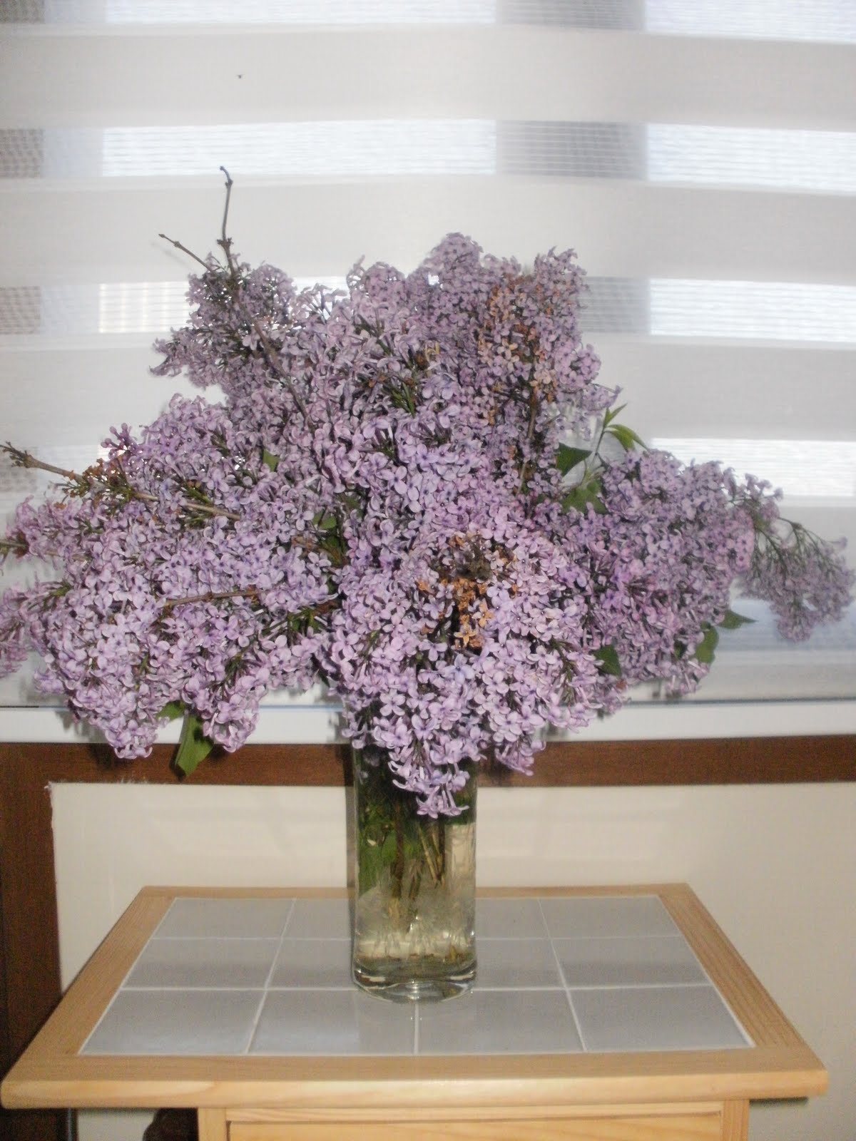 Photos Of Lilacs In Vase Wallpaper | PicsWallpaper.com