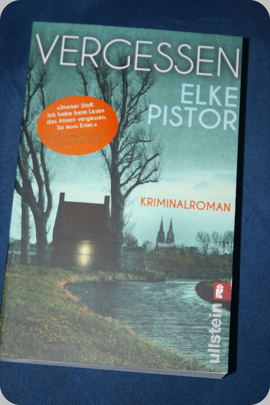 Rezension Vergessen von Elke Pistor