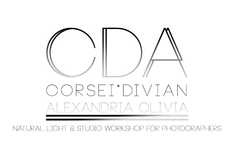 CDA Workshops