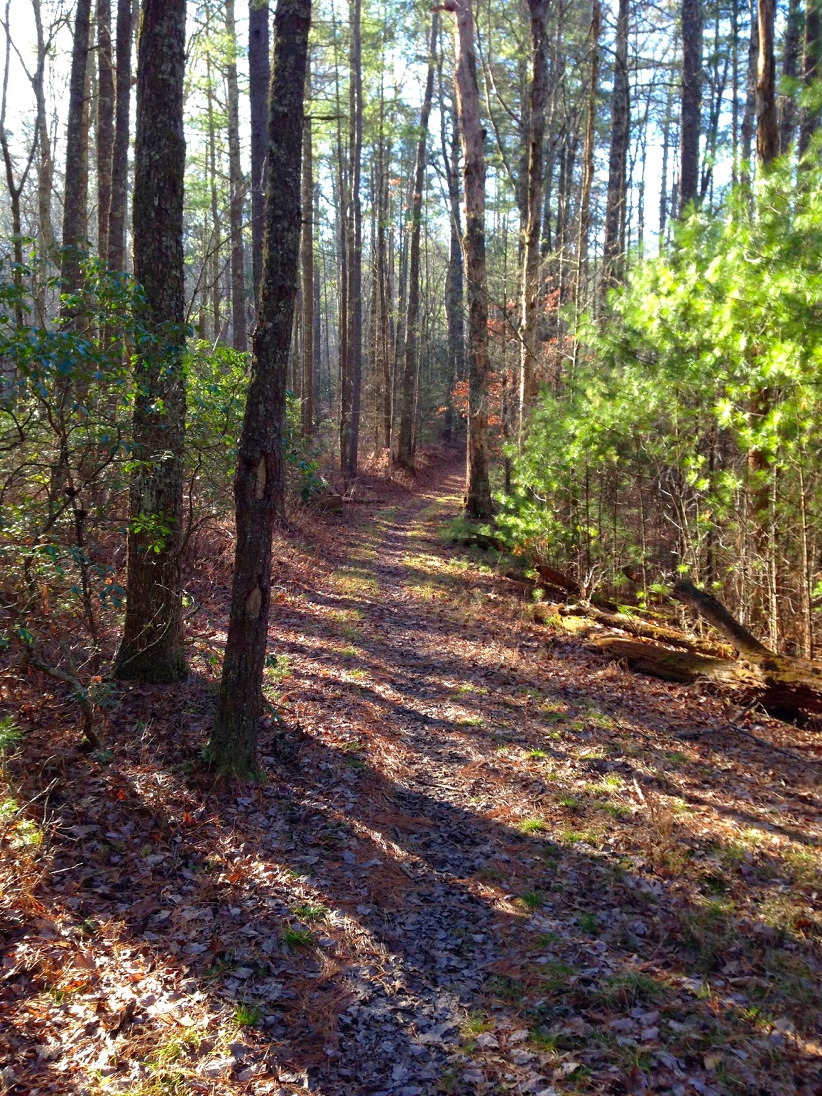 900 miles Rabbit Creek & Hannah Mountain (partial) trails