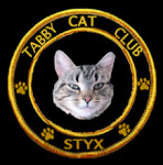 Tabby Cat Club