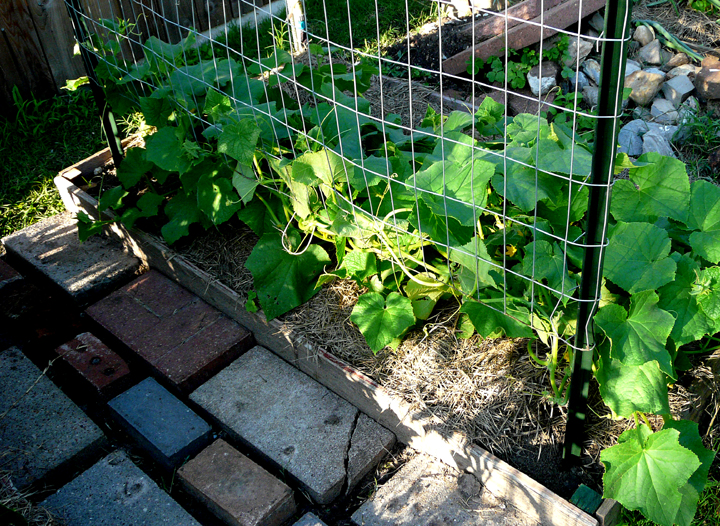 Hublore Garden Check In