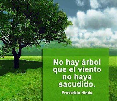 Resultado de imagen de Proverbios hindú