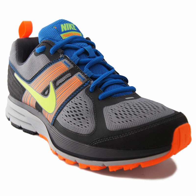 nike pegasus 29 2016