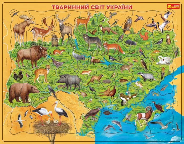 Тваринний світ України: Тваринний світ України