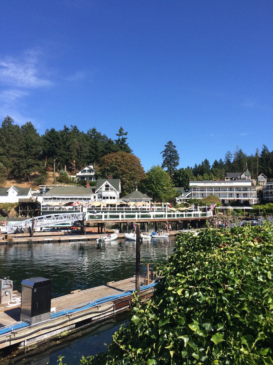 hostess of the humble bungalow Sea Ray Summer Roche Harbour