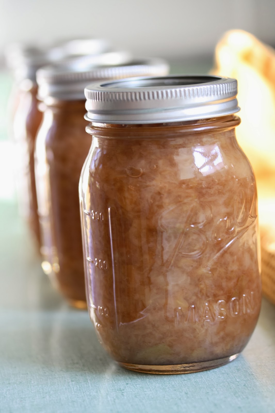 Hot Dinner Happy Home Crockpot Applesauce