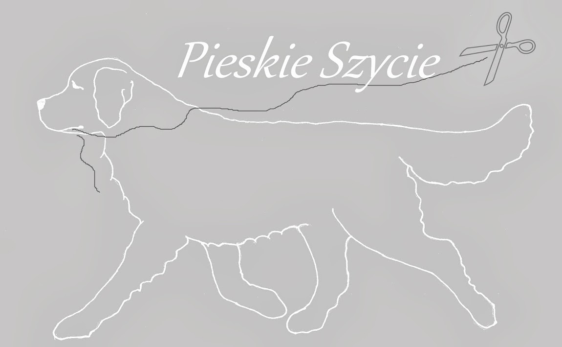 Pieskie Szycie