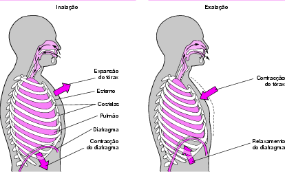 ICD 9 10 THT - Download PDF | DOCYX.com